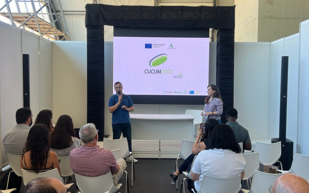 EL GRUPO OPERATIVO ANDALUZ CUCUMDATA DESARROLLA UN SISTEMA DIGITALIZADO QUE PERMITE REDUCIR LOS TIEMPOS DE CLASIFICADO Y EMPAQUETADO DEL PEPINO PARA MEJORAR LA CALIDAD DEL PRODUCTO